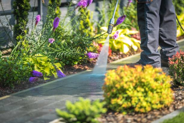 Best Restaurant Pressure Washing  in Port Ewen, NY