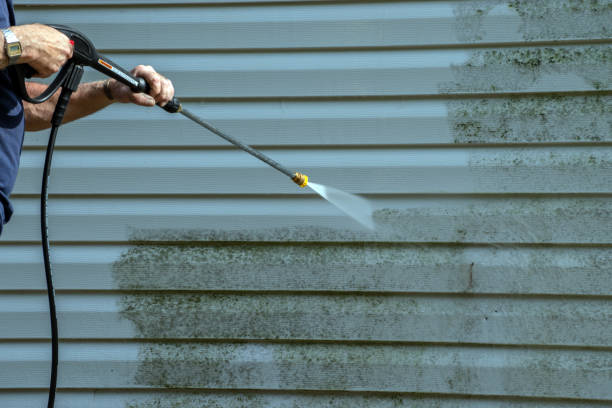 Best Dumpster Area Cleaning  in Port Ewen, NY
